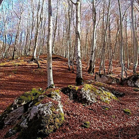 Casa Peppone 佩斯卡塞罗利