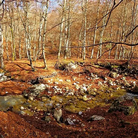 Casa Peppone 公寓 佩斯卡塞罗利