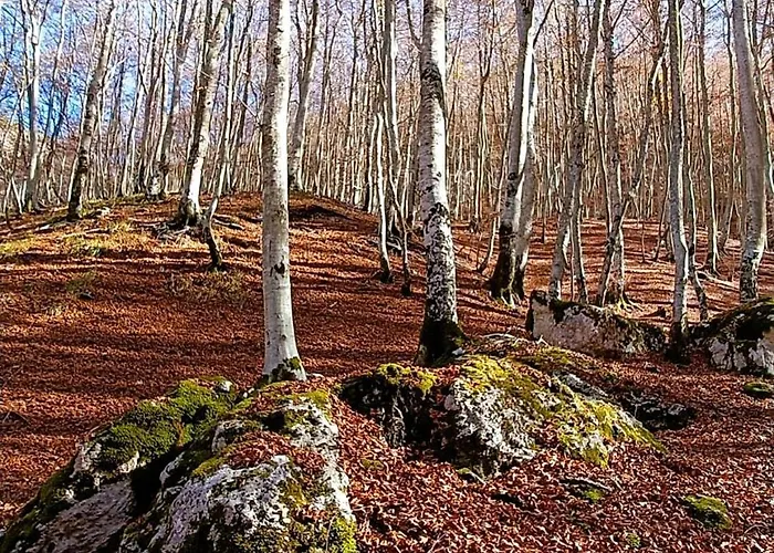 Casa Peppone Pescasseroli